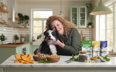 ¡La Logística de la Alimentación de tu Perro!